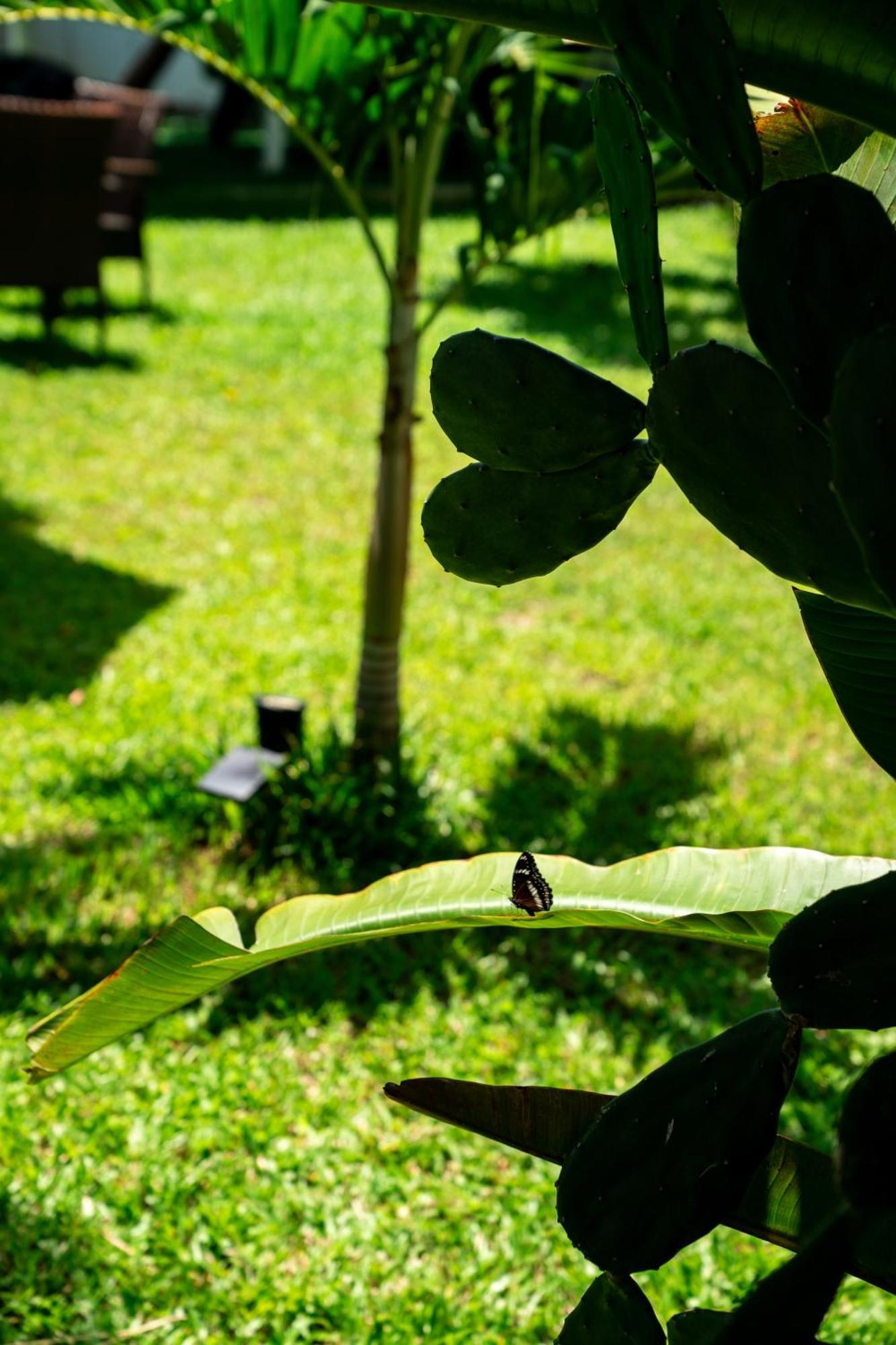 Koh Samui Resort & Restaurant Taling Ngam Beach Εξωτερικό φωτογραφία